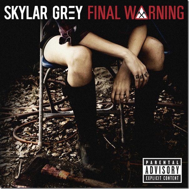 Skylar Grey - Final Warning - Single (iTunes Version)