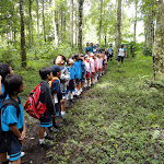 Jungle Trekking