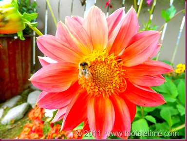 DSCN1936 DSCN1936