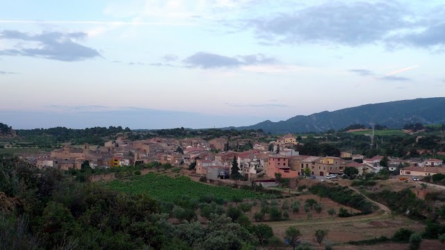 L1320884.JPG
