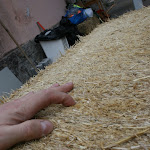 IMG_9855.JPG