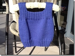 Chickadee Vest outside Chickadee Vest outside