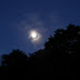 Dscf2784