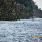 IMG_7968.JPG