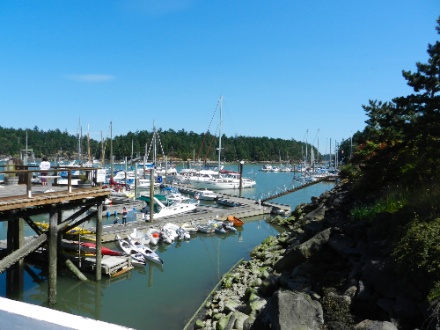 DSCN9258.jpg DSCN9258