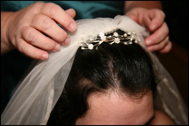 veil comb