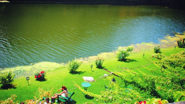 green florence.jpg green florence