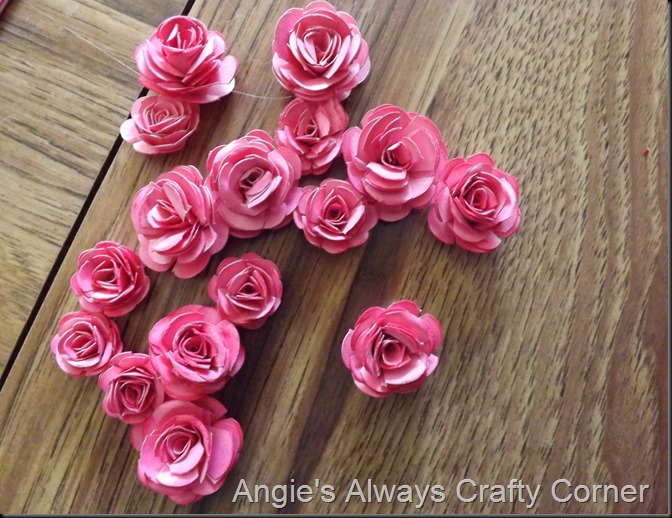 blog roses 023 blog roses 023