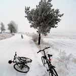 SDC10674.jpg