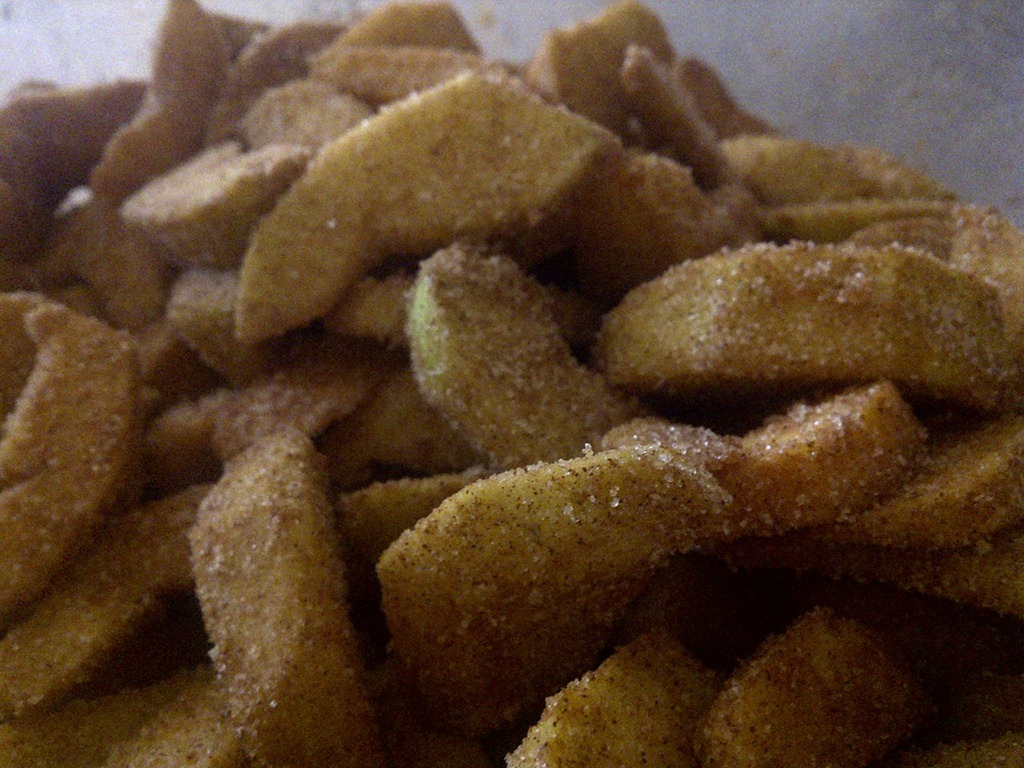 [IMG-20110827-028353.jpg]