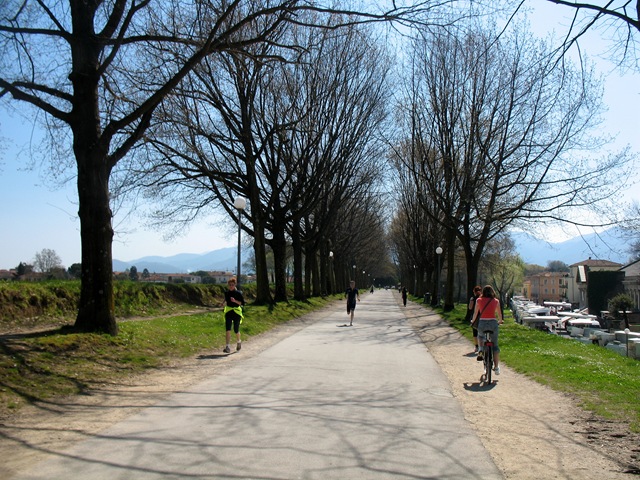 [IMG_9461%255B2%255D.jpg]