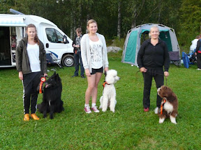 KM 2011 agility large.JPG