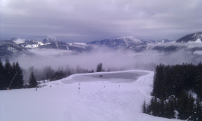 IMAG0233.jpg