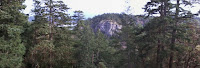 Photo0398.jpg Photo Photo0398.jpg Photo