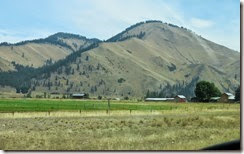 IMG_1063 IMG_1063