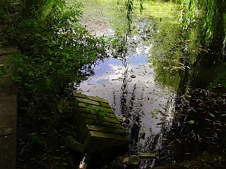 P8260117.JPG