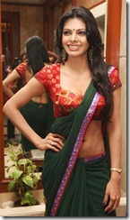 Sherlyn Chopra in Saree Hot Photos