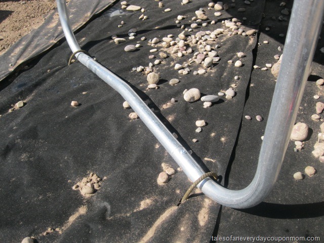 [IMG_3154s%255B8%255D.jpg]