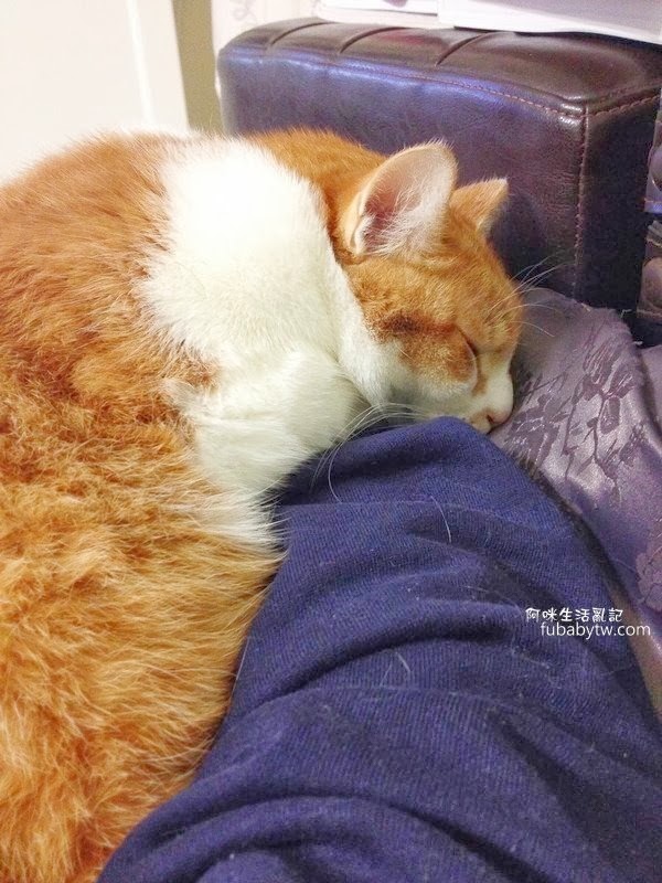 調整大小IMG_3891 調整大小IMG_3891
