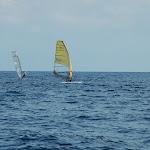 DSC_0353.JPG