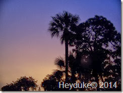 Fort Myers Beach Boat Ride 001