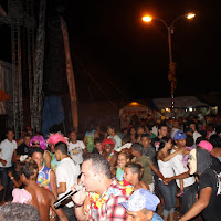  Carnaval_Cantanhede_Bloco_Cana_Limao_2012