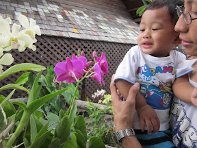 พู่กันเที่ยวพัทยาและยังท้องเสีย