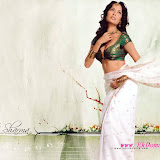 Shruti%2520Sharma%2520%25287%2529.jpg