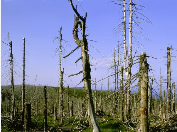 [image%255B2%255D.png]