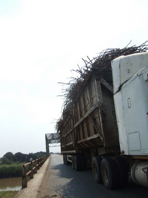 [DSCF8013%255B5%255D.jpg]