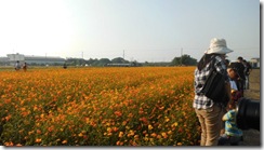 IMG_1148 IMG_1148