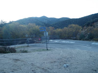 PB252307.JPG Photo