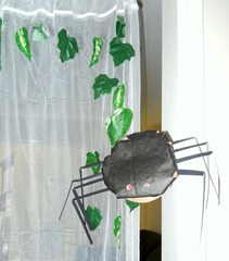 DSCN3566