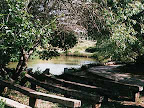 p1238559458(3).jpg
