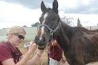 The field he was living in was comprised of poisonous weeds (star thistle) and Phoenix was in fact only 14 years old.