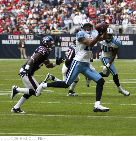 'Houston Texans vs. Tennessee Titans' photo (c) 2010, AJ  Guel - license: http://creativecommons.org/licenses/by/2.0/