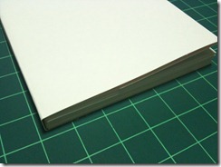 IMG_1625_gigacrew.blogspot.com
