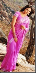 Ragini Dwivedi in saree