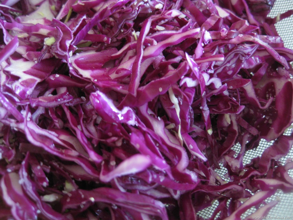 [red%2520cabbage%2520shredded%255B8%255D.jpg]