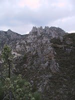 IMG_4679.JPG Photo