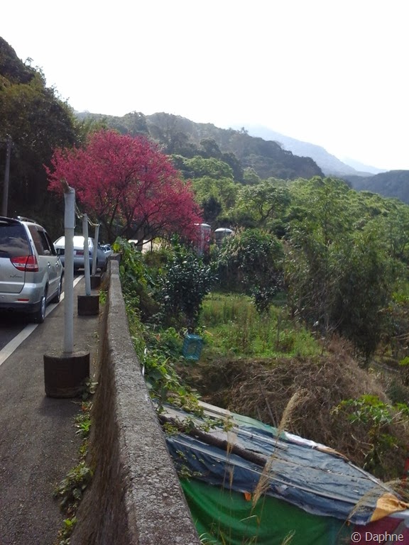 [2014-01-31%252010.48.49%255B4%255D.jpg]