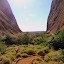 On The Walking Track At Wapa Gorge - Yulara, Australia