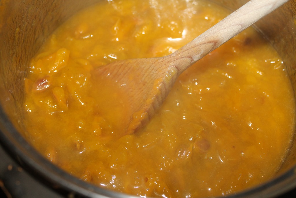 [IMG_8079%255B5%255D.jpg]