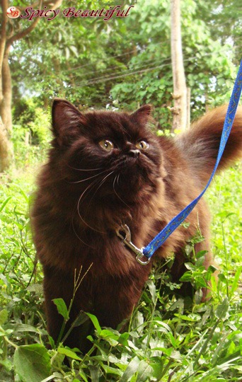 Laguum enjoying her first outdoor adventure