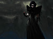 Fallen Widow Beauty