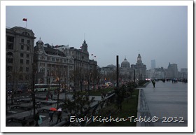 IMG_6555 IMG_6555