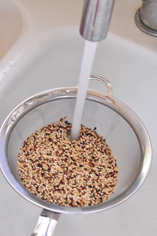[quinoa_1.%255B4%255D.jpg]