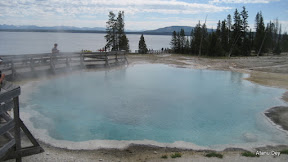 IMG_4163.jpg