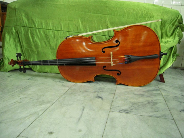 010.jpg