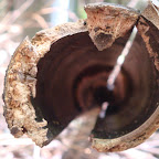 竹林_201204_MartijnTellinga_糸島